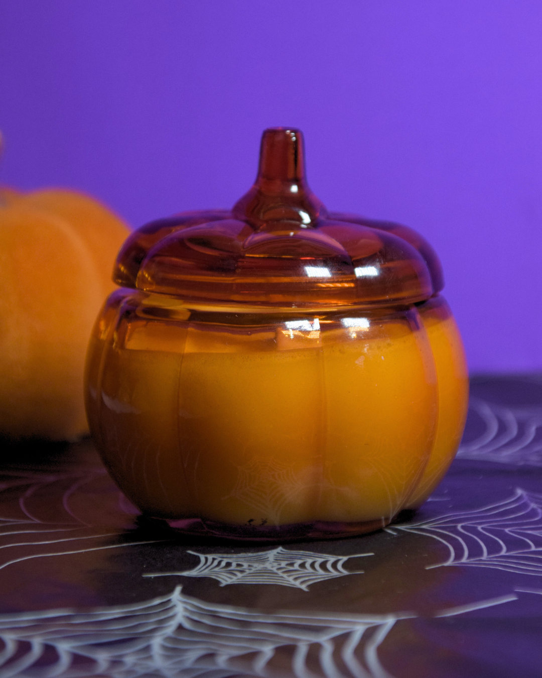 velita mini pumpkin